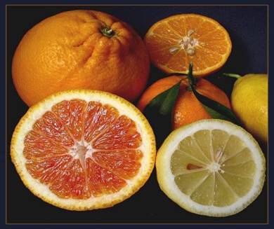 La vitamina C in arance e mandarini